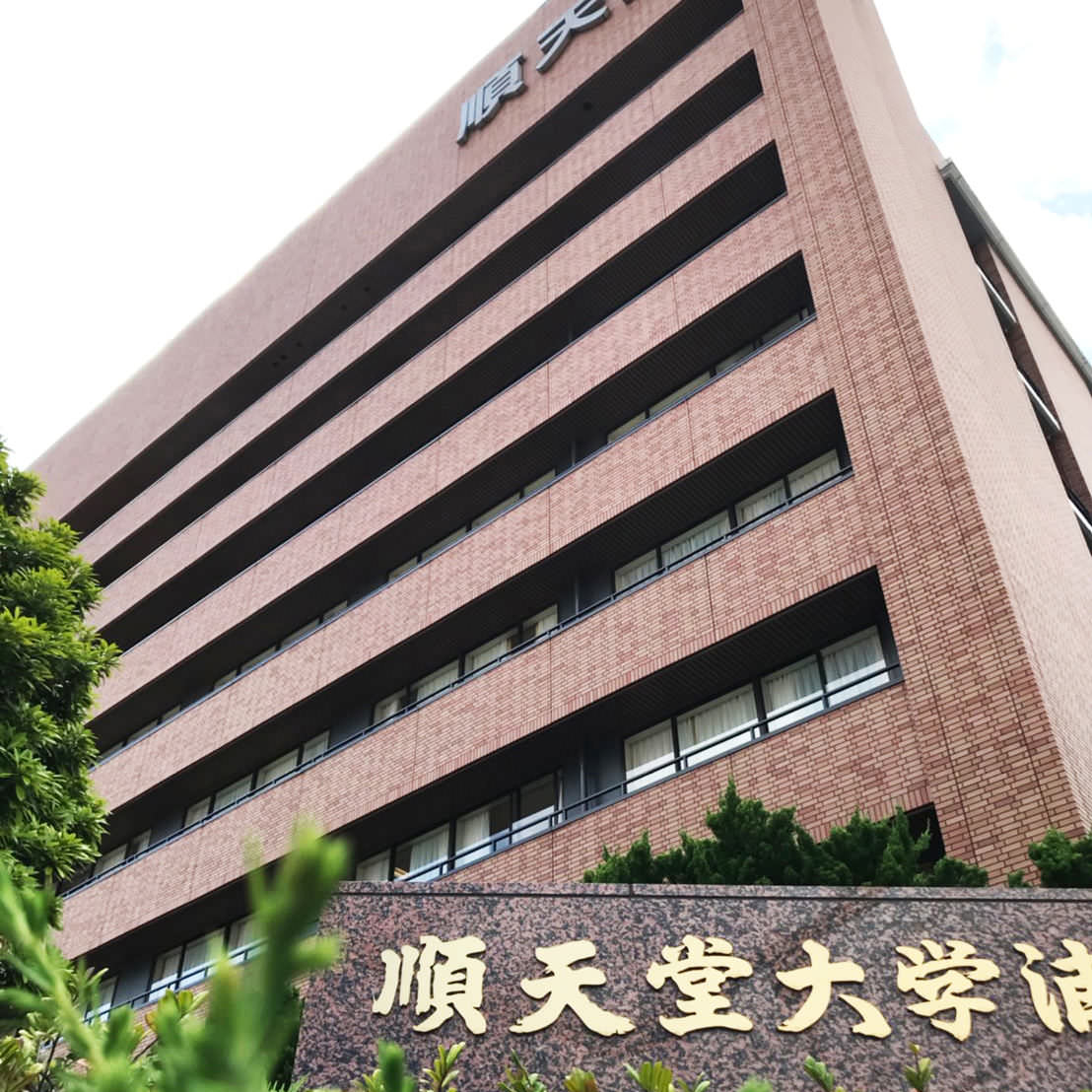 大学 医学部 病院幹線更新工事